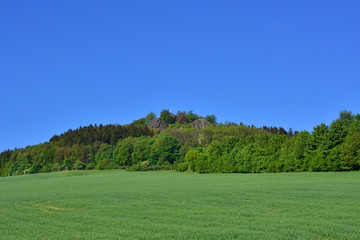 Oberoderwitzer Spitzberg im Frühjahr