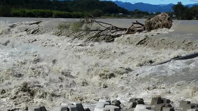 多摩川　昭和用水堰　氾濫