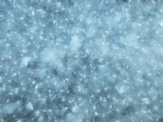  Leaves and flowers. Natural background for your design.