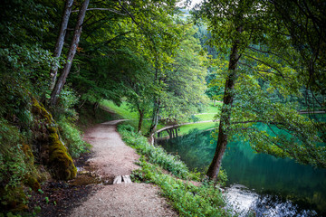 Footpath through forest by the Balkana lake in Bosnia and Herzegovina