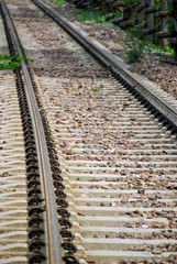 Fototapeta premium isolated railway detail in summer