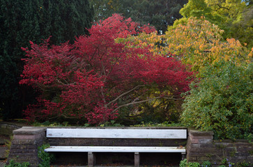 Herbstfarben