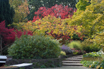 Herbstfarben