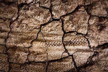 Dry dead cracked and textured surface of soil or ground with cracks in dirt and track or imprint of tires as background view from above