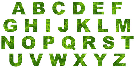 Green Font Collection of  Leaves  Alphabet, isolated on White Background.