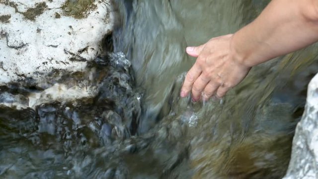female hands stroke green moss growing in the clear and transparent water of a mountain river.
