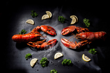 two lobsters decorated on black background / food photography / fighting of the two lobsters