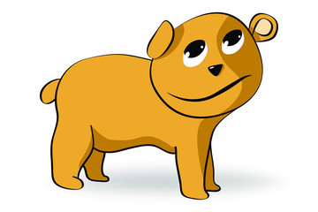 cute bear cartoon character isolate on white background.
