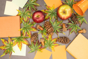 Autumn concept - Books, leaves, apples and pine cones in autumn colors on the table 