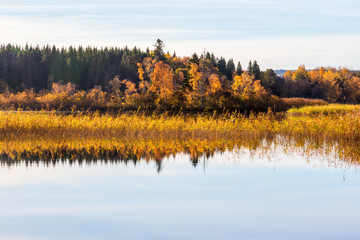 Autumn Landscape at the lake