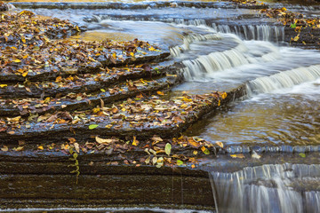 Autumn leaves on slated stone in the waterfall