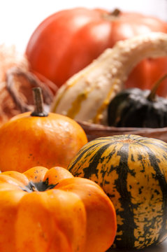 Pumpkin box