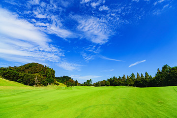 Image of management : landscape of Japanese golf scene in fairway ( safety area )