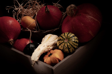 Pumpkins Still Life with wood box