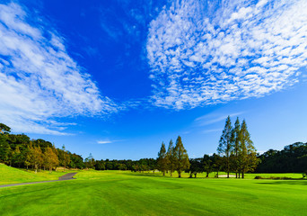Image of management : landscape of Japanese golf scene in fairway ( safety area )