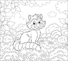 Cute raccoon sitting on grass among bushes and branches of trees on a forest edge on a beautiful summer day, black and white vector illustration in a cartoon style