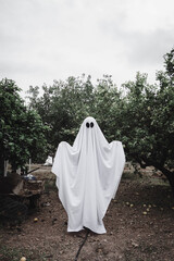 Ghost covered with a white ghost sheet on a forest. Halloween Concept