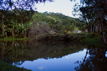 Fototapeta na wymiar lake in forest - tree