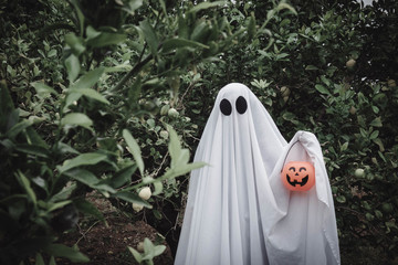 Ghost covered with a white ghost sheet on a forest with halloween pumpkin candy jar. Halloween...