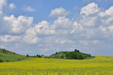 Die Teufelsmauer bei Weddersleben. 
