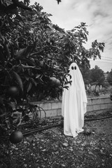 Ghost covered with a white ghost sheet on a forest. Halloween Concept