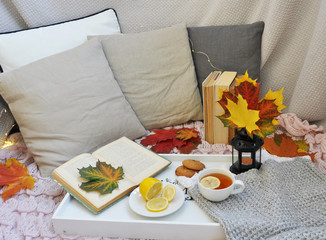 different autumn cozy accessories