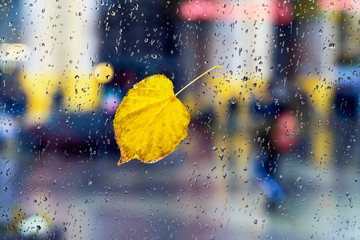 One yellow fallen leaf on window glass. View through glass of rain with city lights bokeh. Rainy...