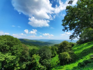 Fototapeta na wymiar mountain views with green trees and blue sky