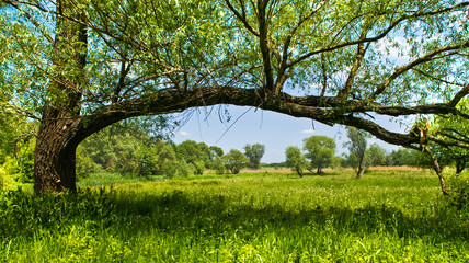 Obraz premium Beautiful countryside scene