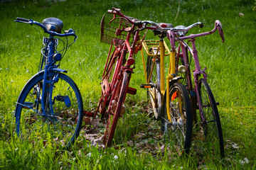 Fahrräder Drahtesel rostig bemalt alt Wiese Gras blau rot gelb lila Vintage alt bunt Garten...
