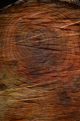 Obraz premium Natural wood texture of tree trunk with cracks on brown bark. 