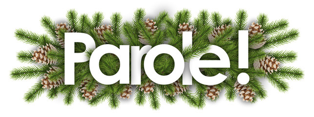 Fototapeta parole in christmas background - pine branchs obraz