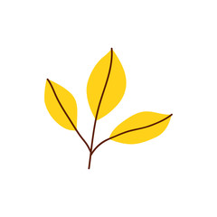 Isolated cute autumn leaf in scandinavian 
