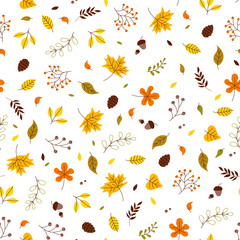 Seamless pattern with cute autumn leaf