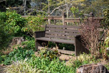フラワーガーデンのベンチ