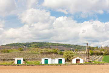 Wine cellar near Retz, Austria