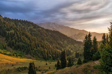 Mountain landscape in summer time