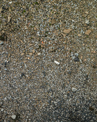 debris and stones