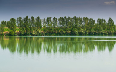 Filare di alberi che si specchiano su di un lago