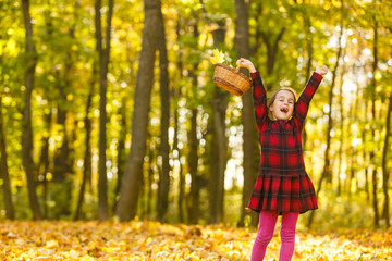 Little girl collects fallen autumn leaves.