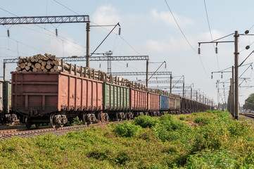 Fototapeta na wymiar Railway tracks, wagons loaded with logs on rails.