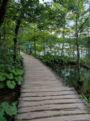 Obraz premium Croatia, august 2019: Picturesque view of Plitvice National Park. Colorful summer scene of green forest with pure water waterfall. Great countryside landscape of Croatia.