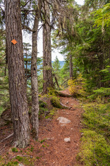 Obraz premium View at Mountain Trail in British Columbia, Canada. Mountains Background.