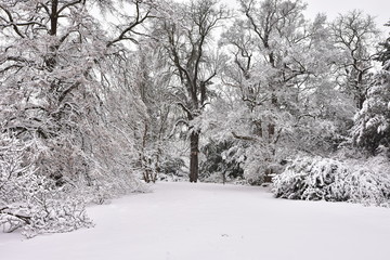 Pragues gardens covered by snow