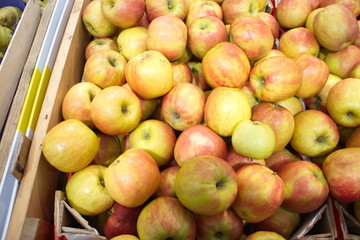 autumn red-yellow apples in a box