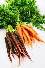 Bunch of fresh red and orange carrots on the white background