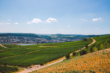 Panorama of the middle Rhine River valley with beautiful vineyards sloping down to a distant medieval village of Rudesheim, Germany. Unesco