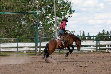 Rodeo Bronco Riding in Canada	