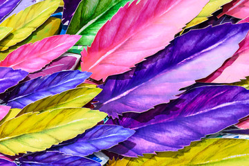 Fototapeta na wymiar texture, abstraction of multi-colored painted feathers close-up