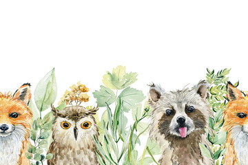 Tieraquarellillustration © Tapilipa